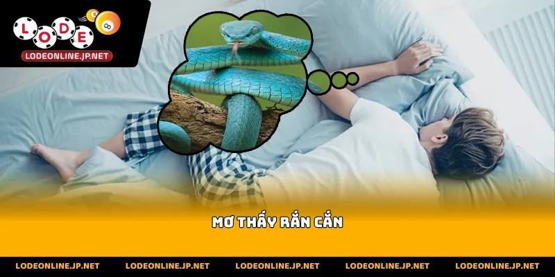 mơ thấy rắn cắn